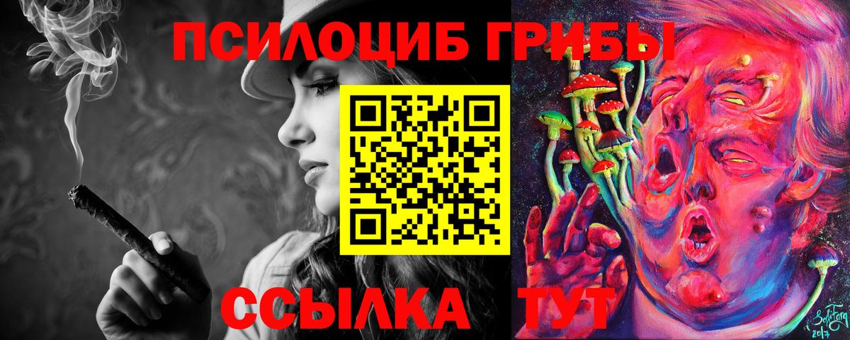 цены наркотик  Псилоцибиновые грибы мицелий  Вход с VPN  Ртищево 